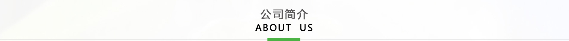 公司簡介
